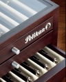 Pelikan