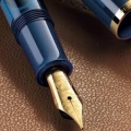 Pelikan M120