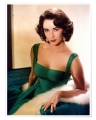 Montblanc Muses Elizabeth Taylor