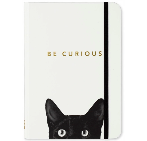 Peter Pauper Curious Cat