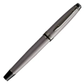 Waterman Expert Metallic Silver
