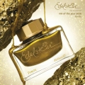 pelikan-edelstein-ink-of-the-year-2026-pyrite-ink-bottle-sfeer4.jpg