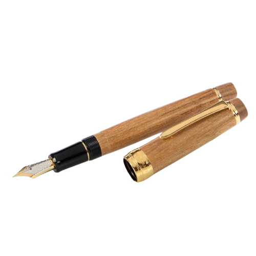 Pilot Costum Enju Pióro wieczne